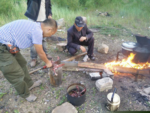 俄羅斯礦區考察-2015-(9)